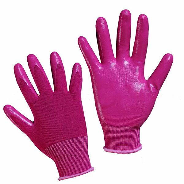 Latex Gloves | PVC Gloves - Online Mask Shop